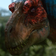 Image for article titled Finally, We're Getting a Fluffy, Feathered T-Rex!
